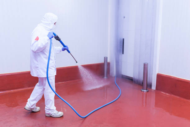 Best Restaurant Pressure Washing  in Farwell, TX